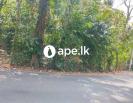 Land For Sale In Piliyandala